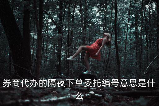 股票委托編號(hào)是什么意思，股票交易中委托編號(hào)208中208是什么意思