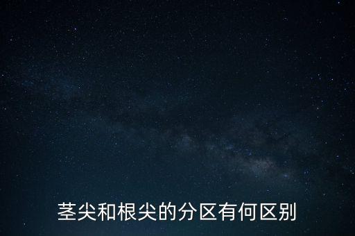 外高橋分區(qū)指按部屬于什么級(jí)別，上海市外高橋保稅區(qū)是屬于什么區(qū)