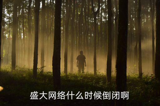 美國盛大游戲什么時間退市，盛大倒閉確切日期