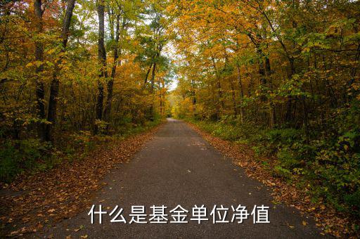 基金中什么是單位凈值，什么是基金單位凈值