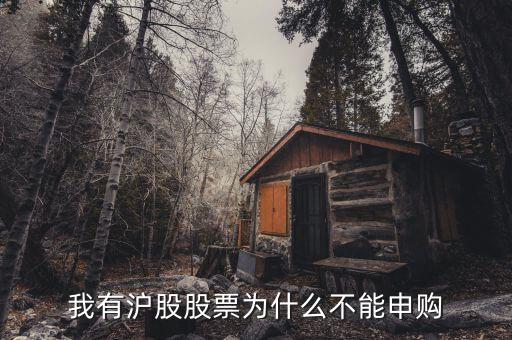 為什么我不能申購滬市新股，我有滬股股票為什么不能申購