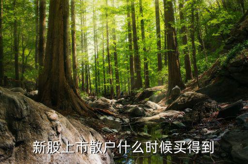 散戶什么時(shí)候才能買到新股，新股上市散戶什么時(shí)候買得到