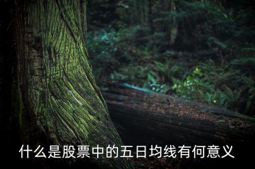 5日均線有什么用，什么是股票中的五日均線有何意義