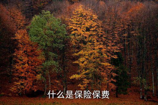 什么是保單保費，什么是保險保費