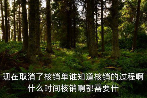 現在取消了核銷單誰知道核銷的過程啊什么時間核銷啊都需要什
