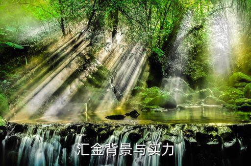 江蘇匯金控股什么背景，匯金公司是怎么回事