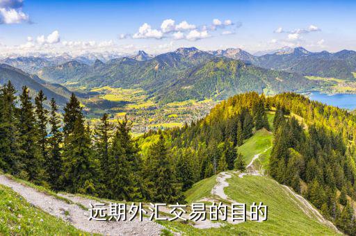 遠期外匯交易的目的是什么，遠期外匯交易的目的有哪些