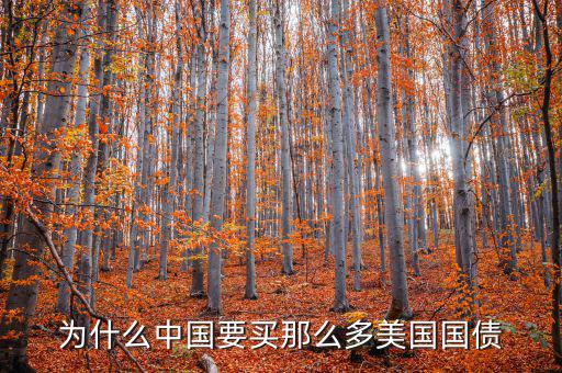 為什么要買美國國債，為什么要買那么多美國國債