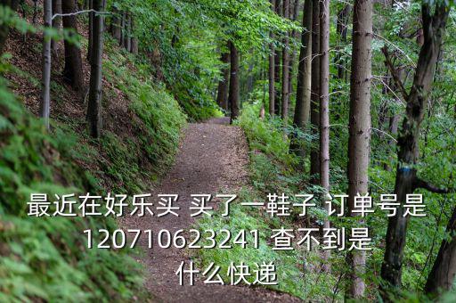 好樂買發(fā)什么快遞，我在好樂買用網(wǎng)銀付款買了雙鞋子請問他們都用什么快遞發(fā)貨