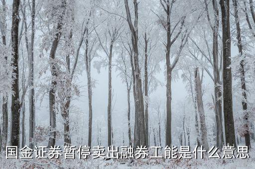 暫停融券是什么意思，國金證券暫停賣出融券工能是什么意思