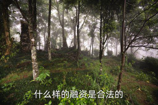 什么是合法的融資，什么是合法融資