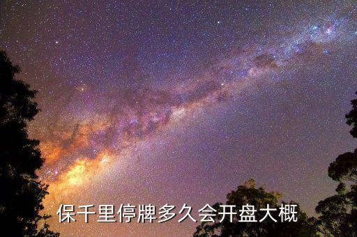 保千里什么時(shí)間上市，保千里什么時(shí)候復(fù)牌