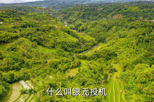 什么叫貨幣投機(jī)，什么是投機(jī)性的貨幣需求
