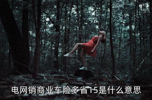 電網(wǎng)銷是什么意思，電網(wǎng)銷商業(yè)車險(xiǎn)多省15是什么意思