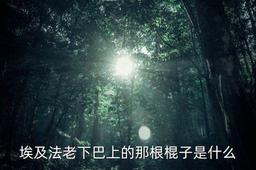 埃及法老的胡子叫什么，胡扶是埃及的第幾代法老