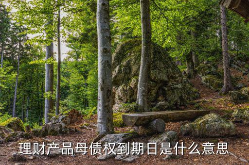 訂單債權到期什么意思，什么叫第三方到期債權