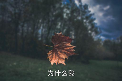 吳清友我為什么，我為什么活著寫作背景