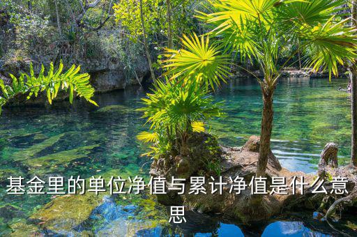 基金凈值和累計凈值是什么，基金里的單位凈值與累計凈值是什么意思