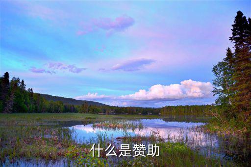 贊助核心是什么，什么是贊助