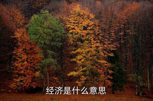 什么經(jīng)濟，什么是商品經(jīng)濟