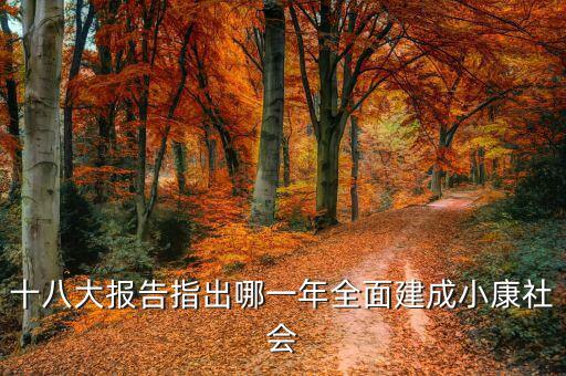 到2020年全面小康什么時(shí)候提出的，我國基本小康實(shí)現(xiàn)的時(shí)間