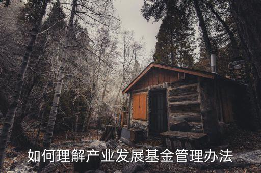 什么是產(chǎn)業(yè)發(fā)展基金，產(chǎn)業(yè)發(fā)展基金和產(chǎn)業(yè)引導(dǎo)基金的區(qū)別