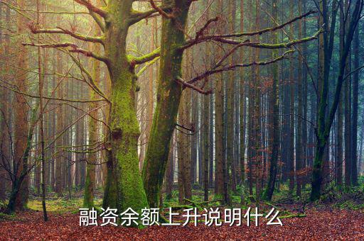 濰柴融資額度很高說(shuō)明什么，融資余額上升說(shuō)明什么