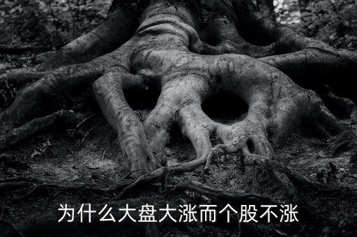 板塊都漲我的個(gè)股不長什么原因，為什么大盤大漲而個(gè)股不漲