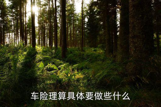 車險(xiǎn)理算崗具體做什么，車險(xiǎn)車物理算做什么的
