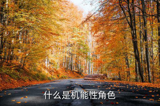 什么是名義剛性，什么是機能性角色