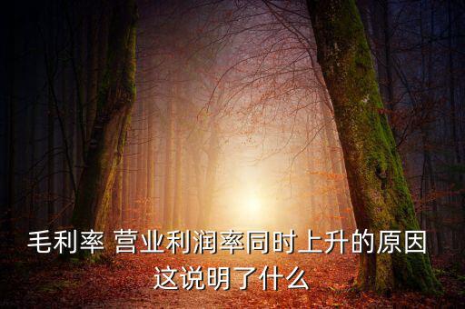 毛利率增長(zhǎng)說(shuō)明什么，增值稅毛利率的高低說(shuō)明什么