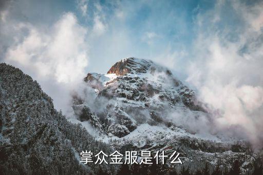 掌金互聯(lián)是干什么的，掌眾金服是什么