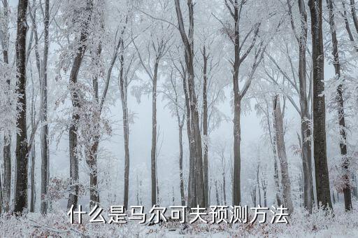 什么是近期市場(chǎng)預(yù)測(cè)，本周剩下兩天的行情分析