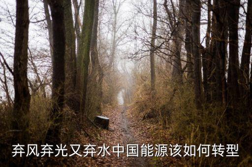 什么是能源轉型，棄風棄光又棄水中國能源該如何轉型