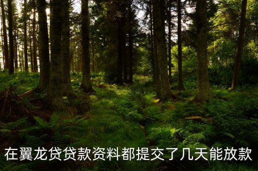 翼龍貸什么時(shí)候放項(xiàng)目，在翼龍貸貸款資料都提交了幾天能放款