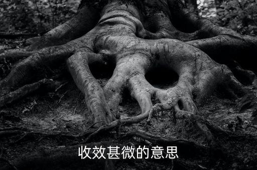 收效甚微的微是什么意思，收效甚微的意思