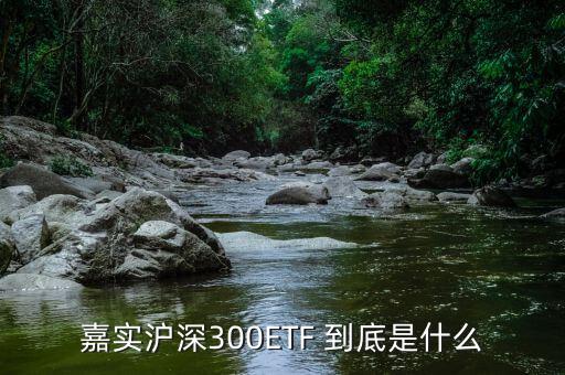 深證etf是什么，ETF 是什么意思