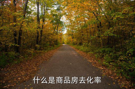 什么是新開(kāi)樓盤(pán)去化率，房產(chǎn)去化率是什么