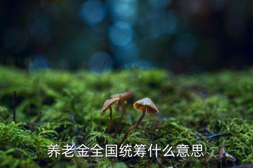 養(yǎng)老金統(tǒng)籌是什么意思，養(yǎng)老金全國統(tǒng)籌什么意思