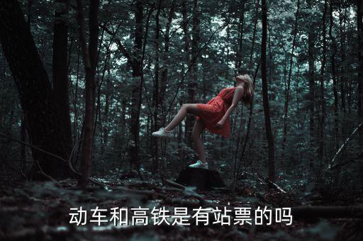 為什么高鐵沒有站票，為什么高鐵沒有站票