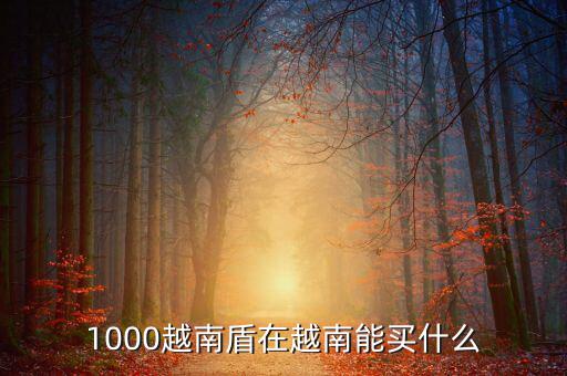 1越南盾能買什么，1盾越南幣能買什么
