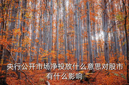 什么是央行凈投放，央行凈投放是甚么意思
