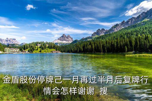 金盾股份停牌己一月再過半月后復牌行情會怎樣謝謝  搜