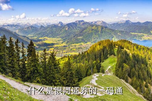 股票一碼通帳號(hào)是什么，財(cái)達(dá)證券的一碼通賬戶是什么