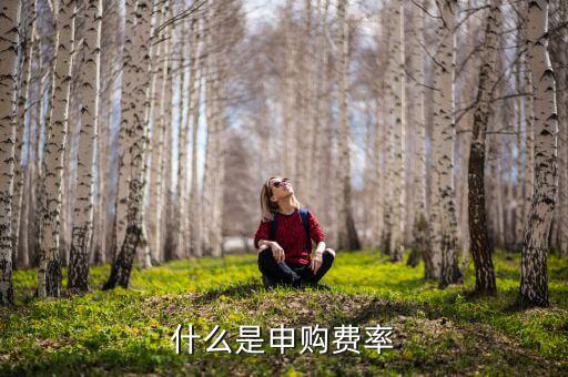 申購(gòu)費(fèi)率是什么，基金里面的購(gòu)回費(fèi)率和申購(gòu)費(fèi)率是什么意思啊舉個(gè)例子唄
