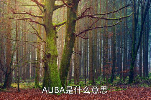 華夏現(xiàn)金增利貨幣a是什么，AUBA是什么意思