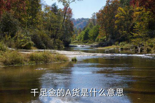 黃金滬幣a是代表什么，千足金的A貨是什么意思