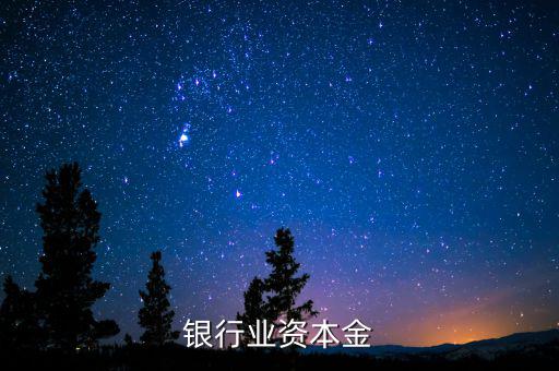 銀行資本金是什么，銀行業(yè)資本金