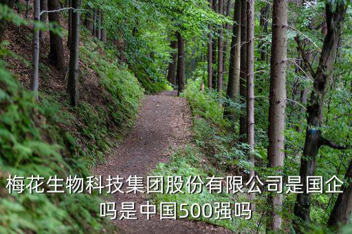 梅花生物是什么板塊，梅花生物科技集團(tuán)股份有限公司是國(guó)企嗎是中國(guó)500強(qiáng)嗎
