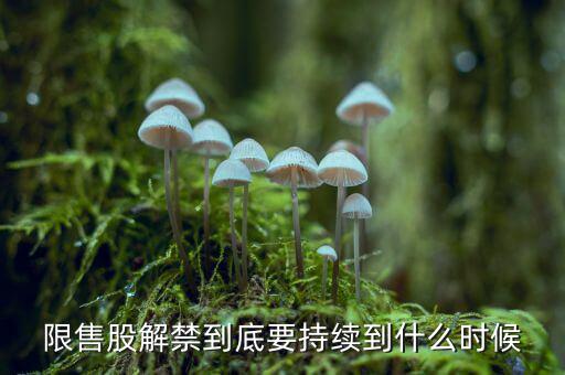 St云網(wǎng)限售股什么時(shí)候解禁，限售股解禁到底要持續(xù)到什么時(shí)候現(xiàn)在搞完一半了嗎